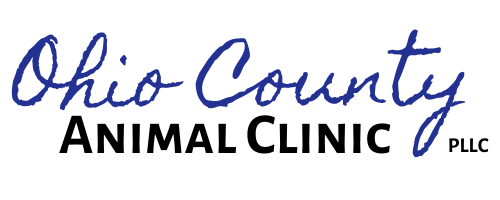 Ohio County Animal Clinic, PLLC